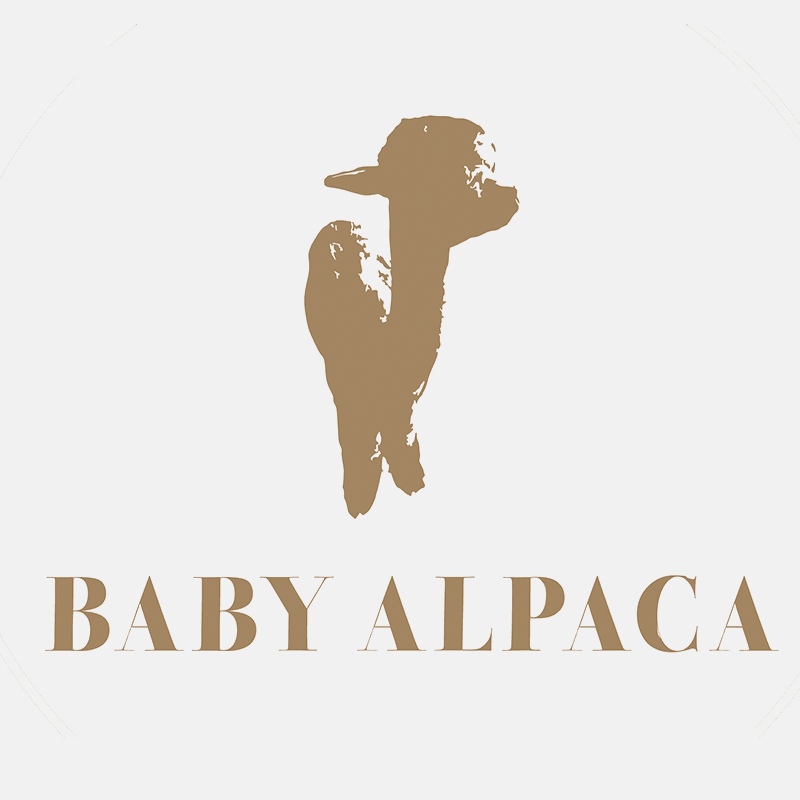 alpaca